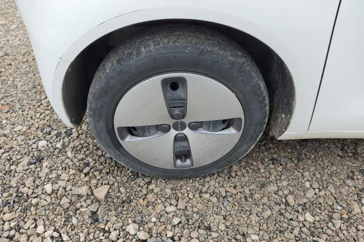 Used ORA Black Cat 2021 301 km Basic Version