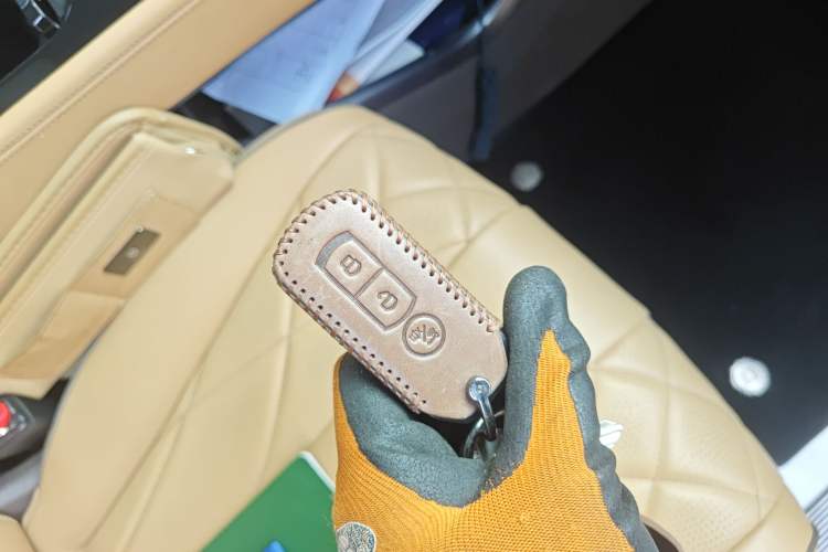 Used Denza D9 2022 DM-i 945 Luxury Model