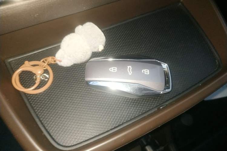 Used JAC Yiwei 3 2023 405km Lite