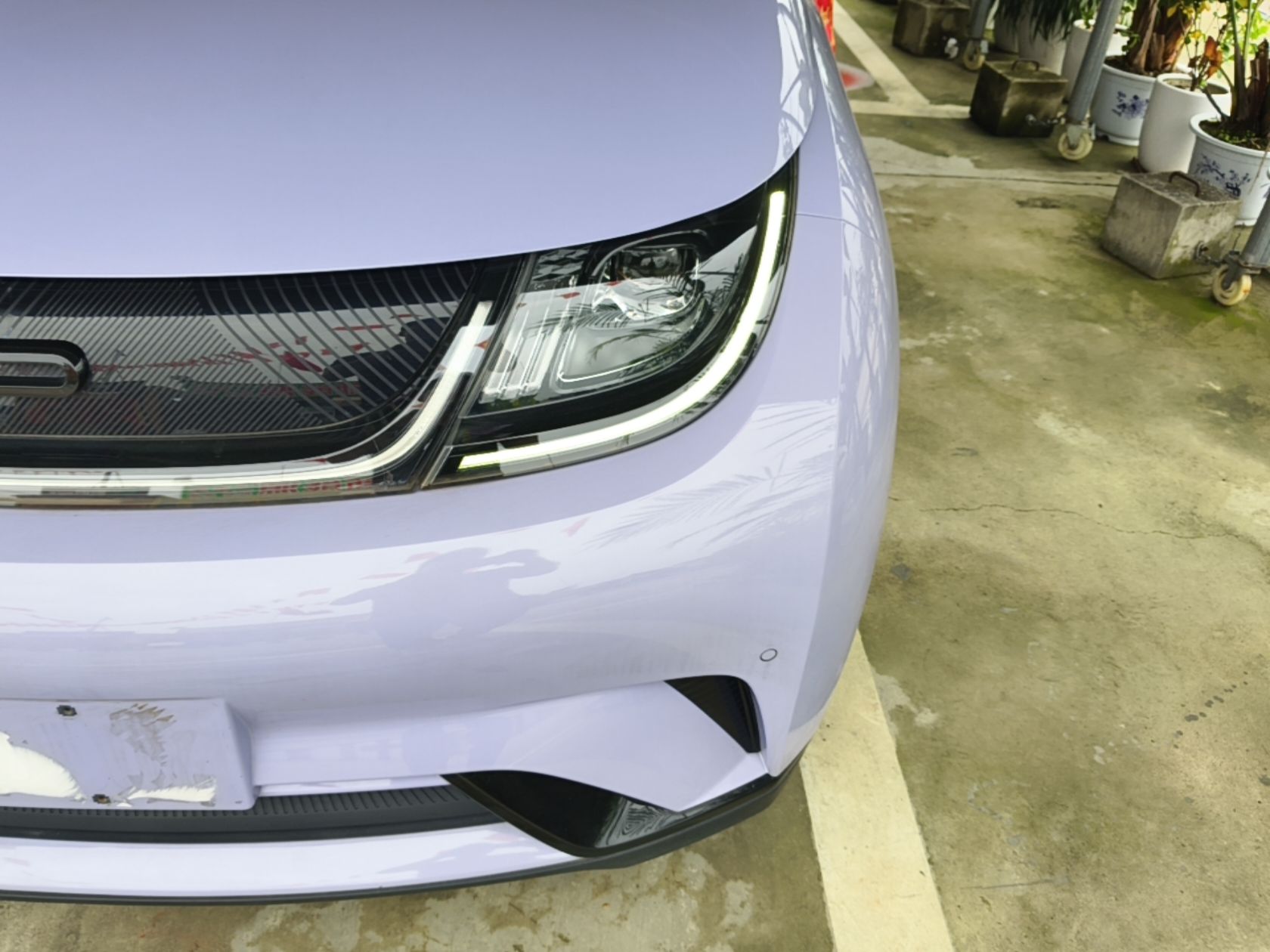 BYD Dolphin 2023 420 km Fashion Edition — снимка 8