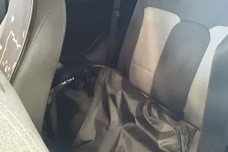 Used Chery QQ Little Ant 2021 150 000 Yuan "Ant Fan" Edition New Ant Cool Version Lithium-Ion Battery Left Rear Seat