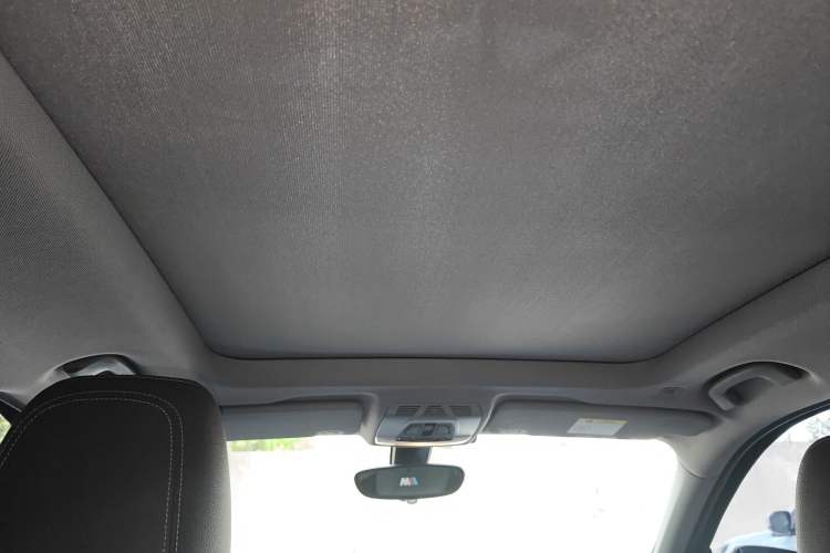 Used BMW X1 New Energy 2018 xDrive25Le Luxury Model Headliner