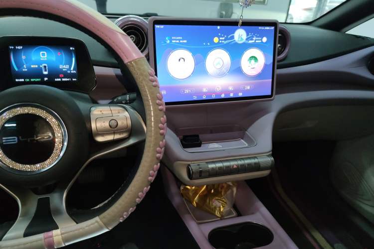 Used BYD Dolphin 2021 405 km Free Version
