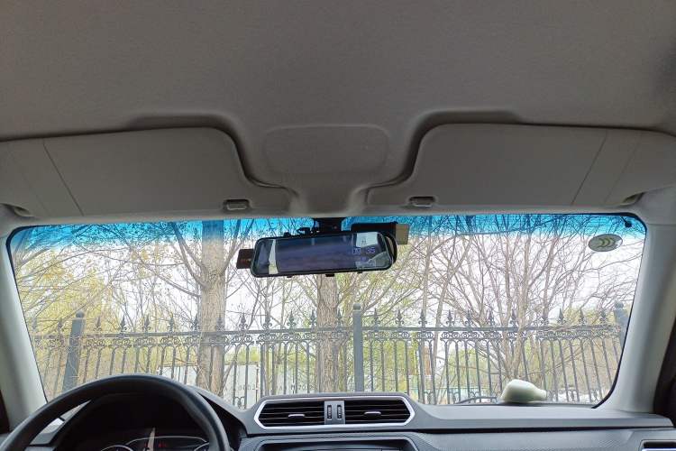 Used Great Wall Wingle 5 2020 2.4L Gasoline Two-Wheel Drive Value Edition Big Double Cab China VI Standard 4K22D4M Headliner