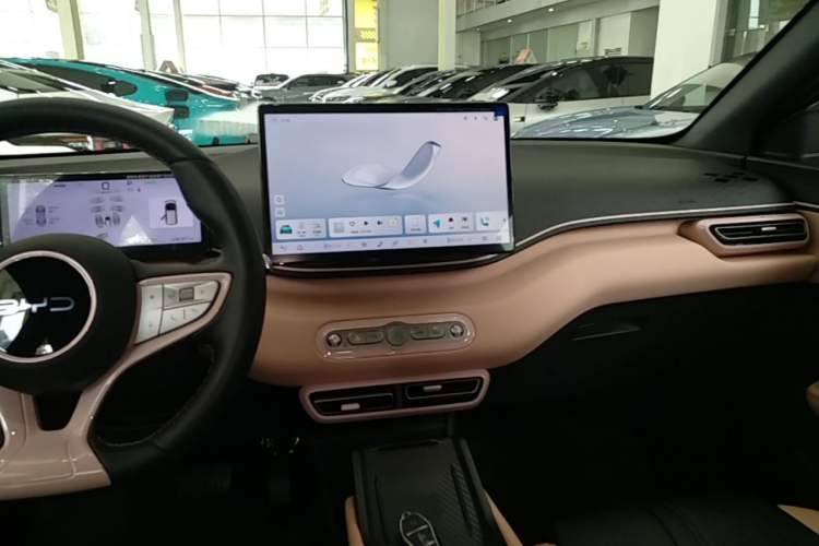 Used BYD Seagull 2025 Smart Drive Version 305 km Freedom Edition
