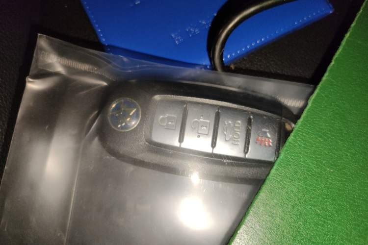 Used Venucia Venucia D60EV 2020 Standard Range Smart Drive Edition
