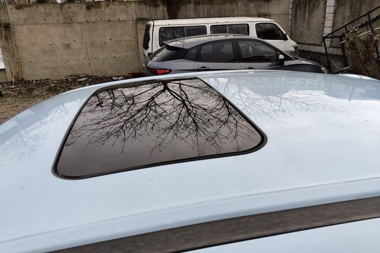 Used ORA Ballet Cat 2023 401 km Luxury Version
