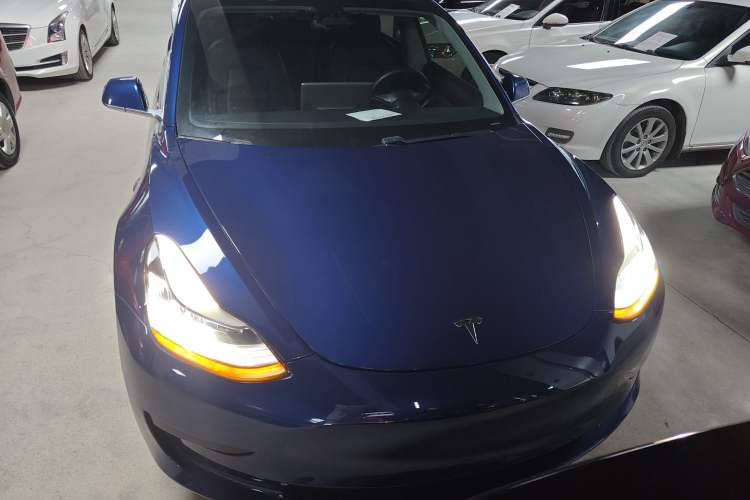 Used Tesla Model 3 2020 Standard Range Rear-Wheel Drive Upgraded Version