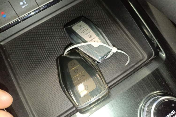 Used Geely Auto Monjaro L 2021 2.0TD DCT EVO Two-Wheel Drive Prestige Version