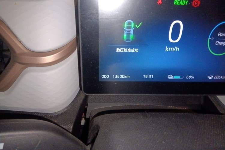 Used SOL E10X 2022 Flower Fairy Design Four-Leaf Clover Odometer Close Up