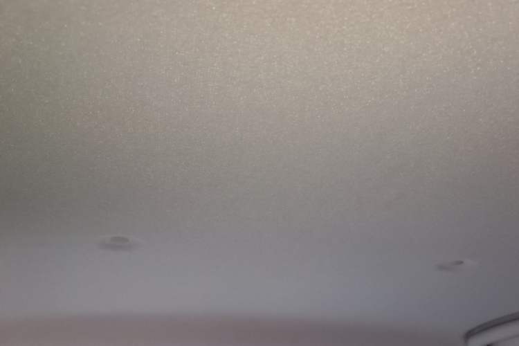 Used ORA Black Cat 2021 351 km Luxury Version Headliner