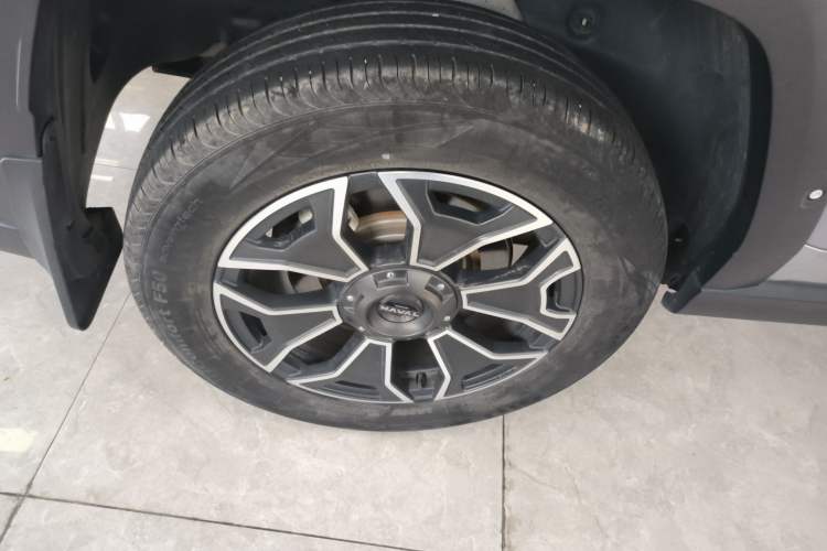 Used Haval H Dog New Energy 2023 DHT-PHEV 105km Trend Electric Edition Exterior 5