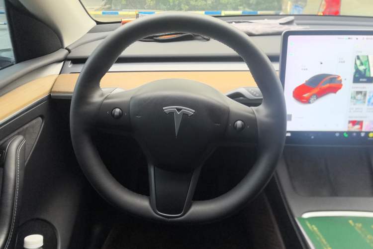 Used Tesla Model Y 2021 Standard Range Rear-Wheel Drive Version
