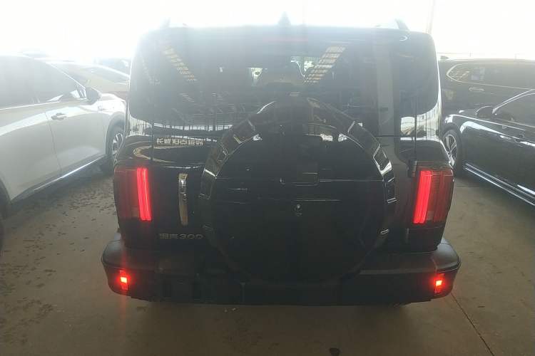 Used Tank 300 2024 2.0T Conqueror