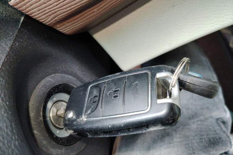 Used FORTHING Lingzhi M5 2020 Long-Range Luxury 7-Seater Model