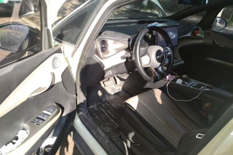 Used BYD Dolphin 2023 420 km Free Version Driver Seat