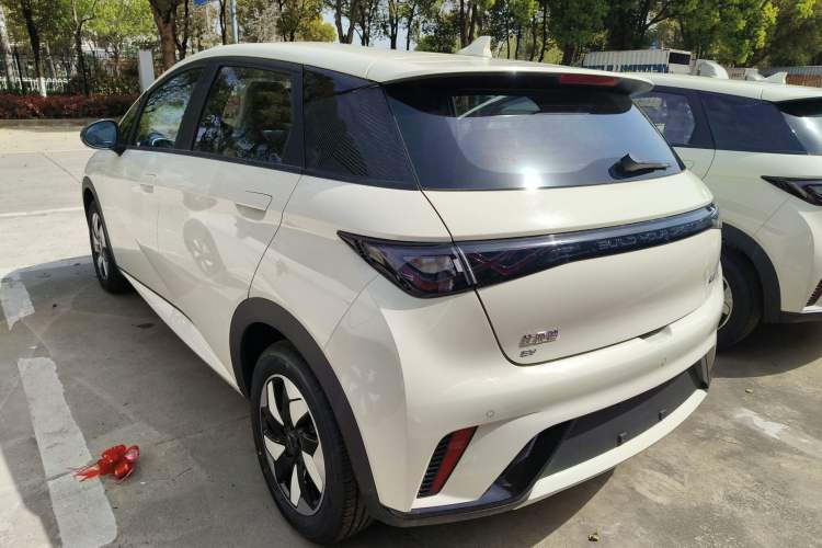 Used BYD Dolphin 2025 420km Free Edition
