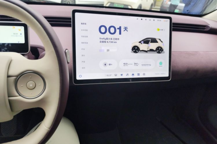 Used firefly 2025 Illuminated Edition
