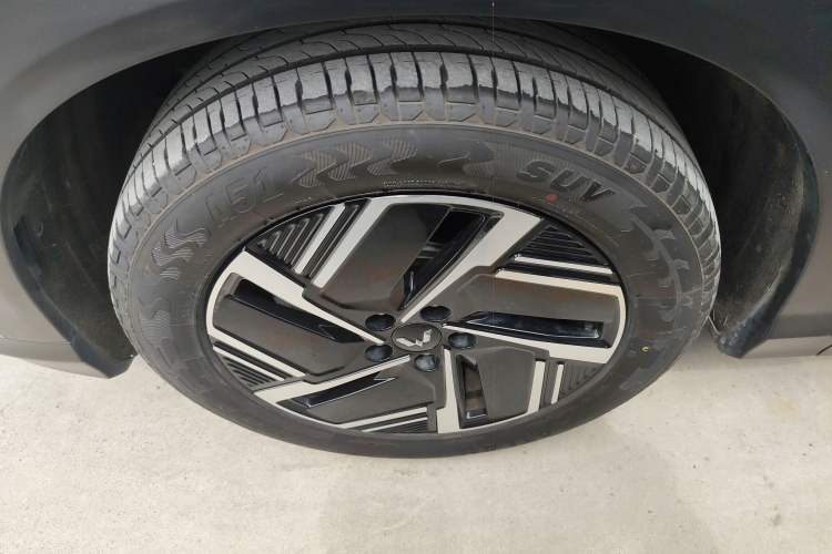 Used Wuling Xingguang S 2024 510 km Flagship Version Exterior 2