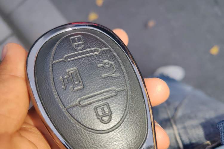 Used Geely Galaxy Panda 2024 Panda Mini 200km Endurance Bear