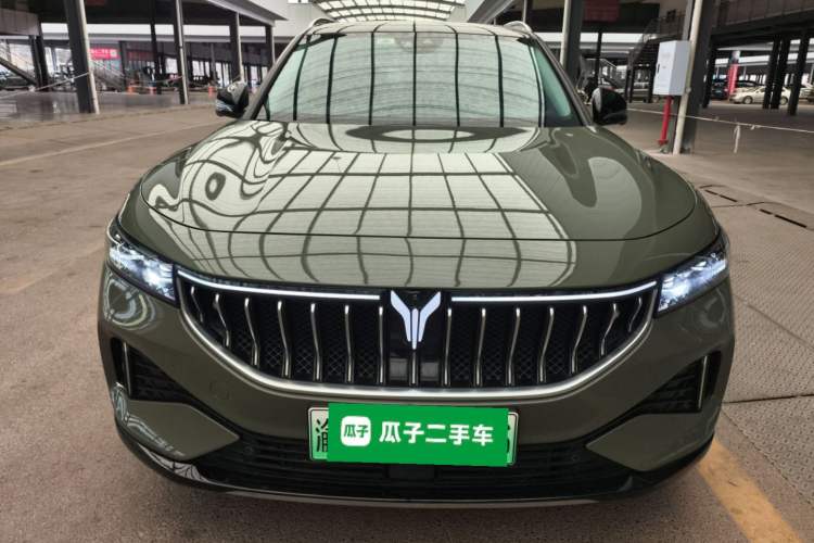 Used VOYAH FREE 2021 Four-Wheel Drive Standard Range-Extended Exclusive Luxury Package
