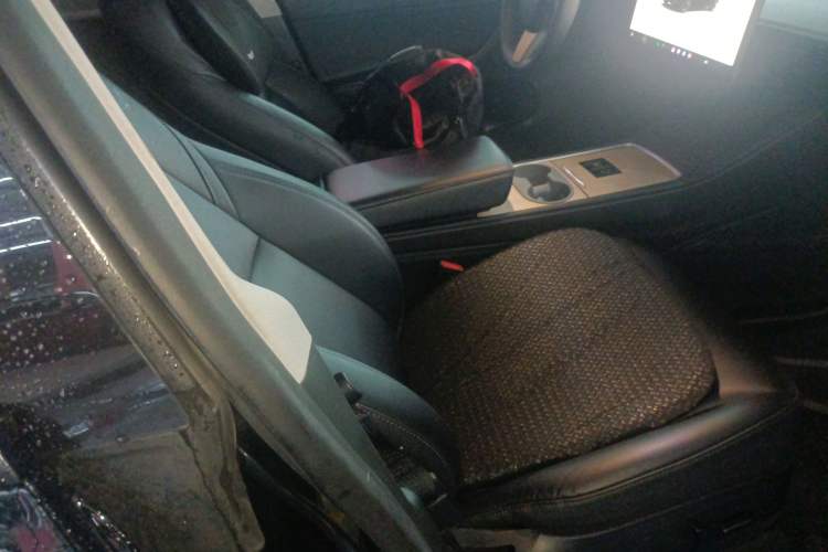 Used Tesla Model Y 2022 Revised Version Long-Range All-Wheel Drive Right Front Seat