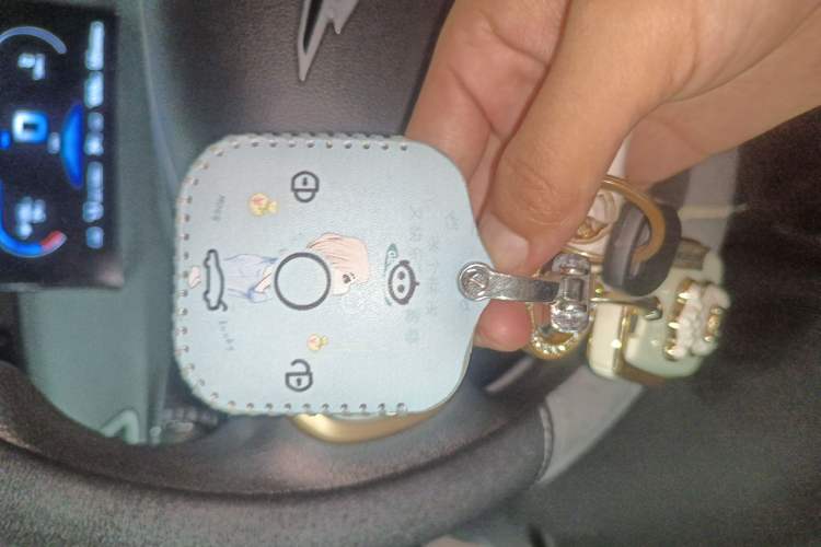 Used Cowin October 2023 201km Wave Rider Edition
