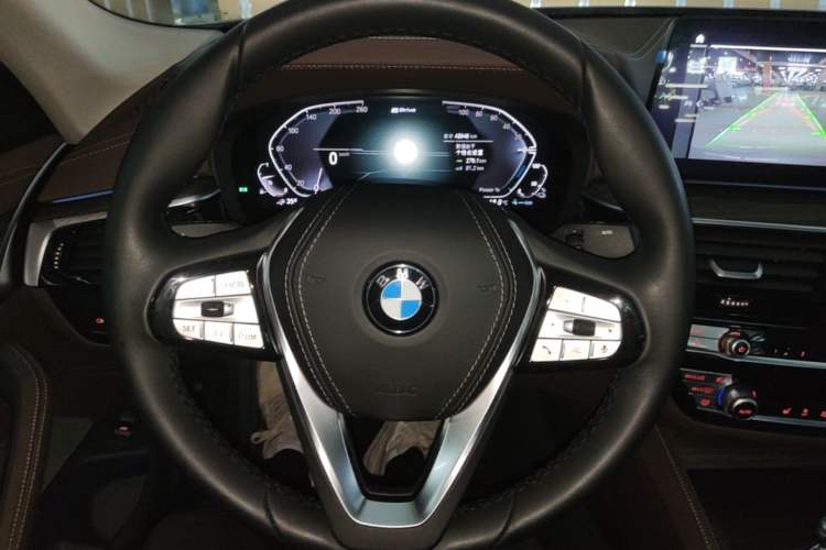 Used BMW 5 Series New Energy 2021 535Le Luxury Package