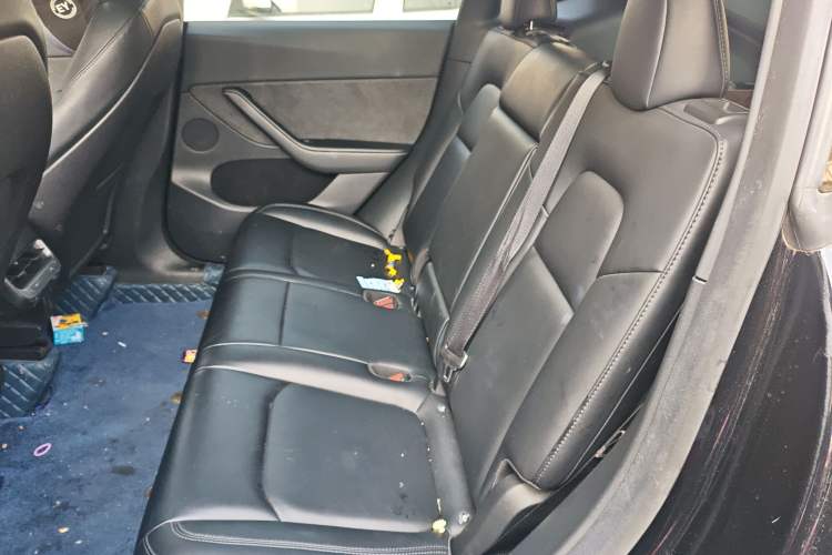 Used Tesla Model Y 2022 Rear-Wheel-Drive Version Left Rear Seat