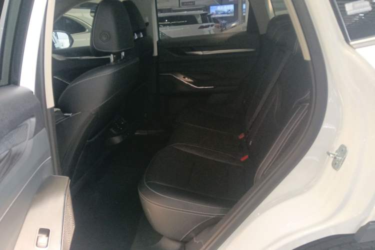 Used Haval H6 New Energy 2023 DHT-PHEV 110KM Enjoyment Edition Left Rear Seat