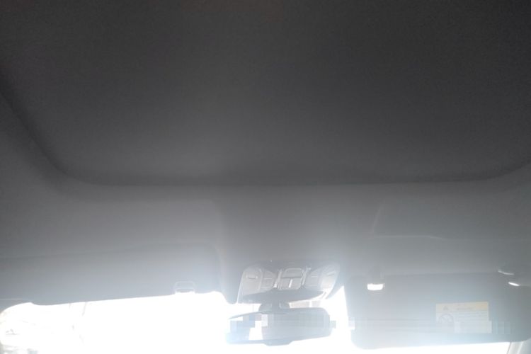 Used GAC Trumpchi GS8 2020 GS8S 390T Two-Wheel Drive Prestige Edition Headliner