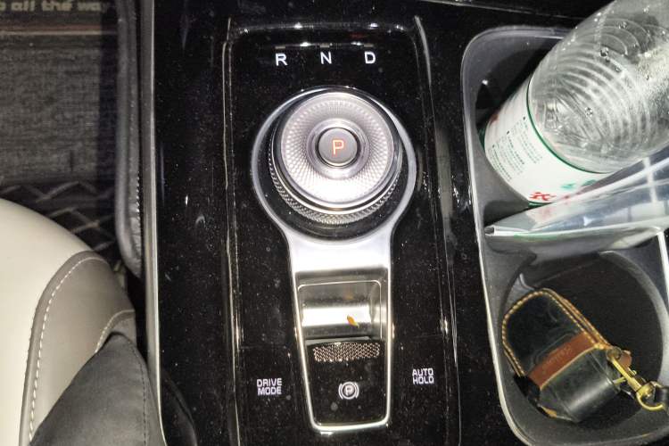 Used Kia Carnival 2021 2.0T Flagship Edition