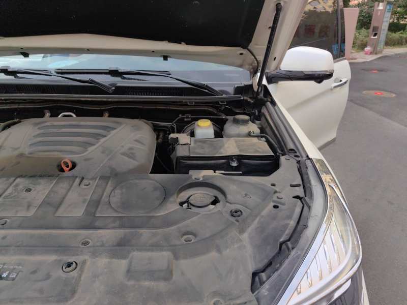 Used Haval H9 2020 2.0T Gasoline 4WD Premium Edition 5 Seats — 24