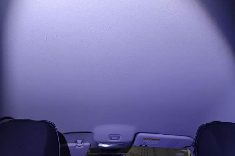 Used Roewe i5 2020 1.5L Manual 4G Connect Luxury Edition Headliner