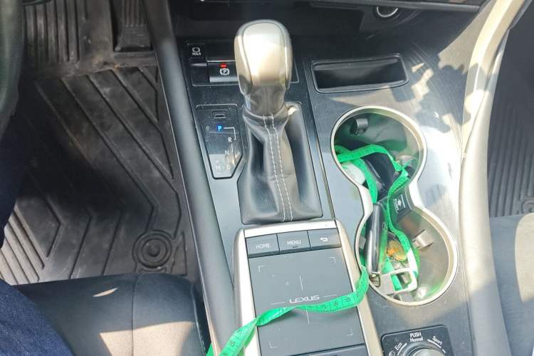 Used Lexus RX 2020 300 Two-Wheel Drive Elite Version China V Standard