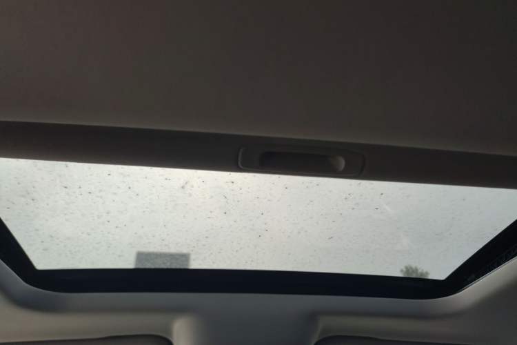 Used Tank 300 2021 Off-Road Edition 2.0T Conqueror
