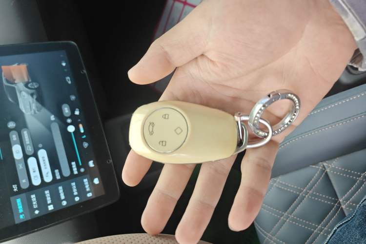 Used Leapmotor T03 2021 400 Luxury Edition Vehicle Key