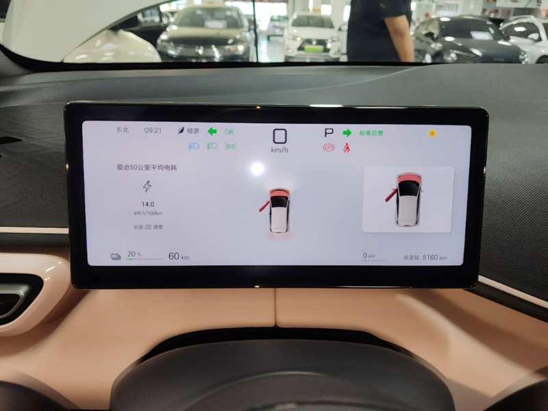 Used BYD Seagull 2025 Smart Drive Version 305 km Freedom Edition — 11