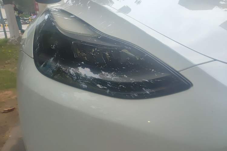 Used Tesla Model Y 2021 Long-Range All-Wheel-Drive Version 3D7