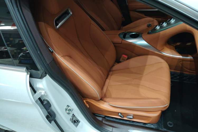 Used ORA Lightning Cat 2022 555 km Luxury Edition