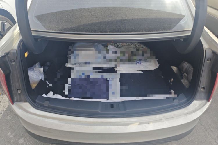 Used Hongqi E-QM5 2024 610 km PLUS Trunk