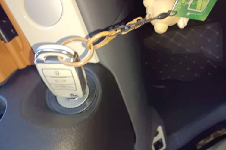 Used CHANGAN NEVO Lumin 2024 130km Qingyue Version
