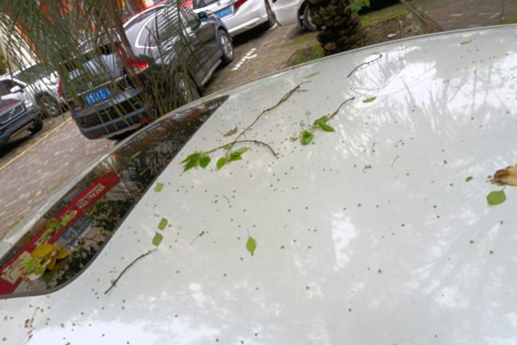 Used Nissan Sylphy 2016 1.6XV CVT Smart Enjoyment Version Roof