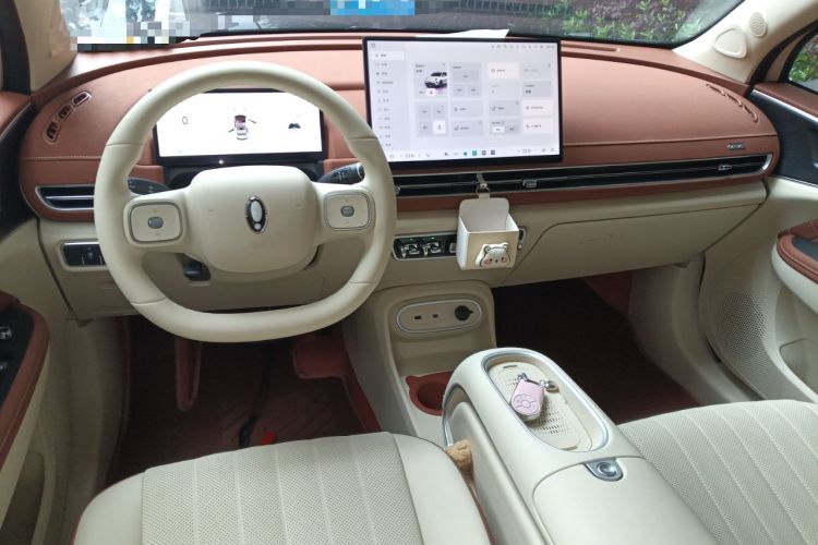 Used ORA Good Cat 2025 Model, 430 km Luxury Version