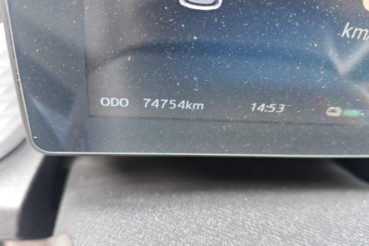 Used SOL E10X 2022 Flower Fairy Style Baby's Breath