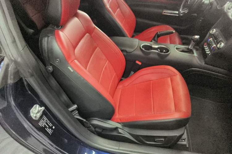 Used Ford Mustang 2019 5.0L V8 GT
