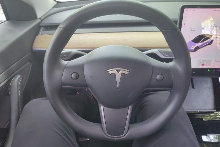 Used Tesla Model 3 2020 Revised Version Standard Range Rear-Wheel Drive – Upgraded Edition

