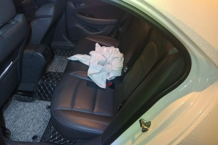 Used Chevrolet Malibu 2017 1.5T Automatic Luxury Edition Left Rear Seat