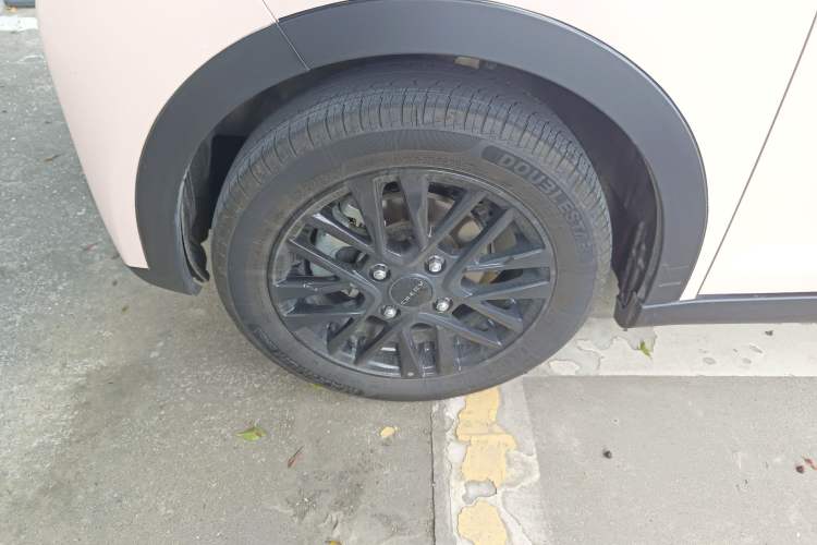 Used Chery New Energy Little Ant 2024 Revised Version Youth Edition 251 km True Love Edition 25.05 kWh
