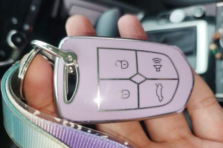 Used BORGWARD BX5 2020 20TGDI Automatic Two-Wheel Drive Pioneer Edition
